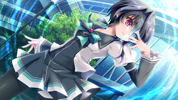 AmiAmi [Character & Hobby Shop] | PC Software 9-nine- Deluxe