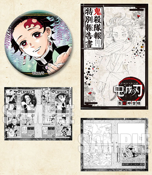 Demon Slayer: Kimetsu No Yaiba, Vol. 22: Volume 22