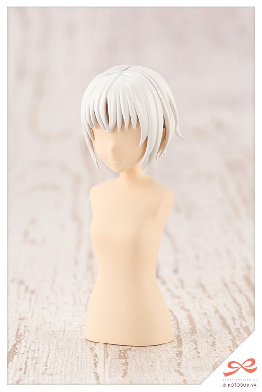 AmiAmi [Character & Hobby Shop] | (Pre-owned ITEM:A-/BOX:B)Sousai 