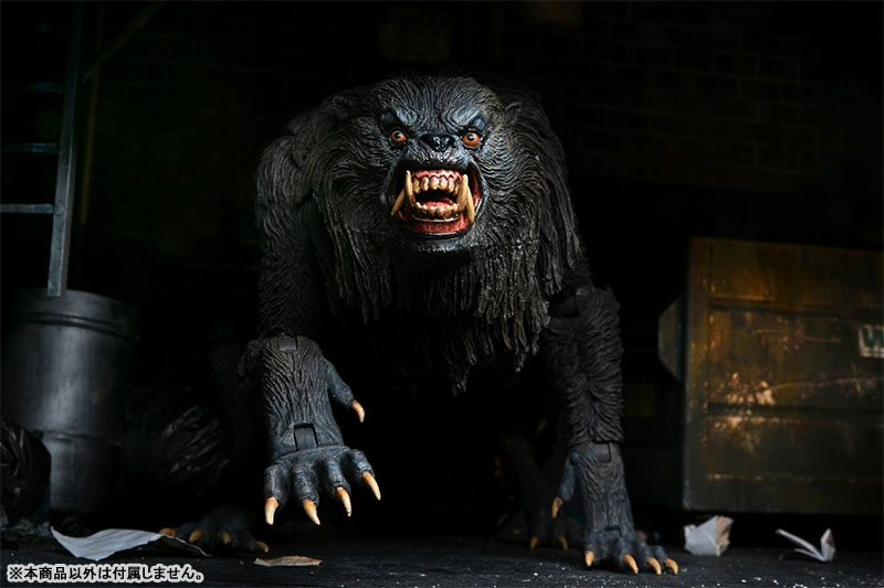 AmiAmi [Character & Hobby Shop] | An American Werewolf in London