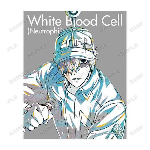 Cells at Work! Big Wall Scroll: Red Blood Cell