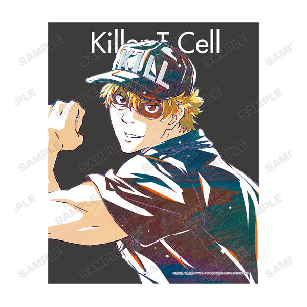 Plastic Folder - Hataraku Saibou (Cells at Work!)