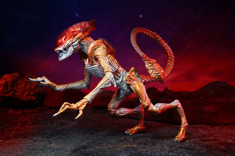 AmiAmi [Character & Hobby Shop] | Alien / 7 Inch Action Figure