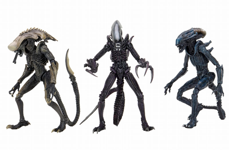 K*i様 ALIENS vs PREDATOR フィギュアセット Predator Action Figure | Alien Predator Figure | Collectible