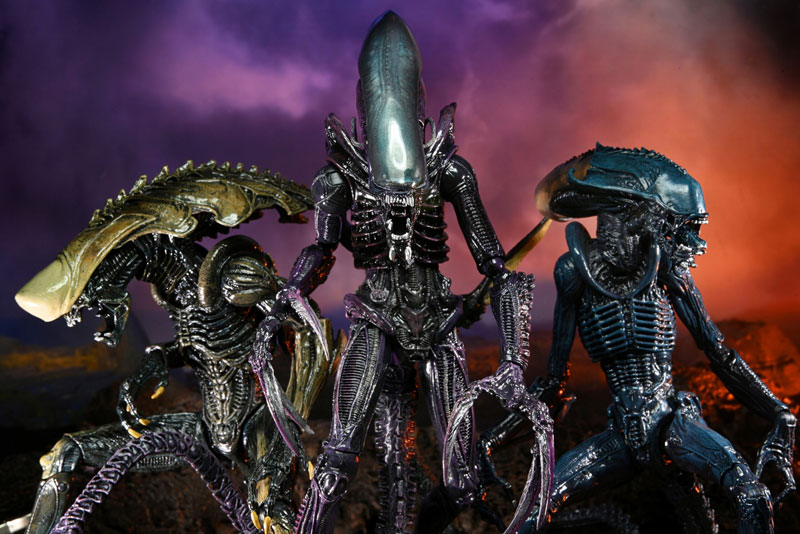 K*i様 ALIENS vs PREDATOR フィギュアセット K*i様 ALIENS vs PREDATOR フィギュアセット Predator Action