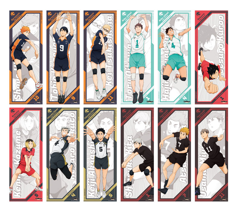 Haikyuu Poster sold Box Set