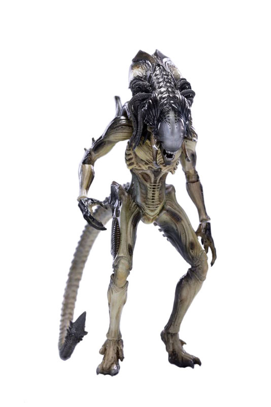 AmiAmi [Character & Hobby Shop] | AVP2 1/18 Action Figure
