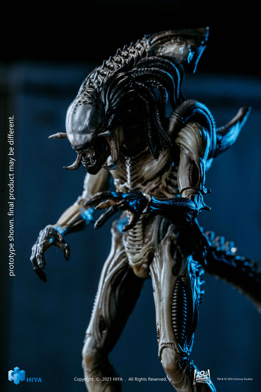 AmiAmi [Character & Hobby Shop] | AVP2 1/18 Action Figure