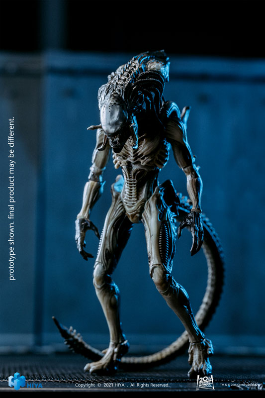 2008.HOTTOYS.MM#074“AVP2 Predalien” AmiAmi [Character & Hobby Shop] | AVP2 1/18 Action Figure