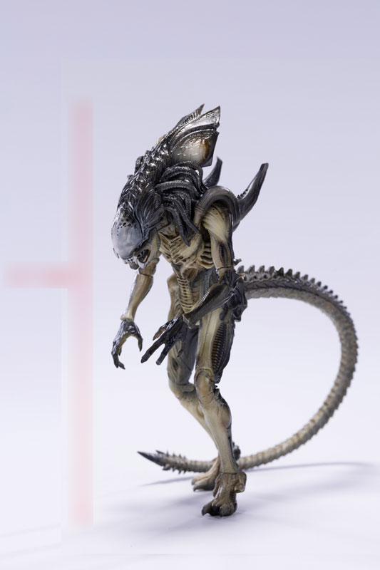 Heat Vision Predator Alien Hybrid Predalien Creature Women's Short
