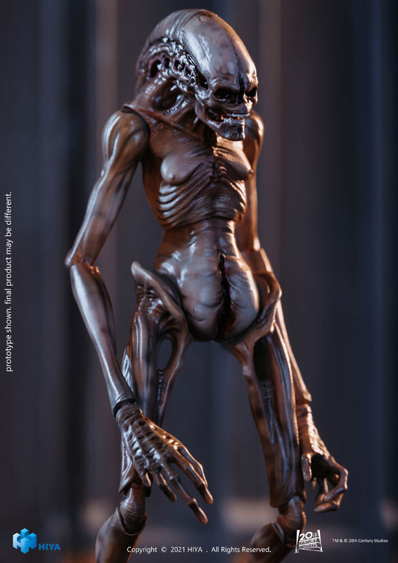 AmiAmi [Character & Hobby Shop] | Alien Resurrection 1/18
