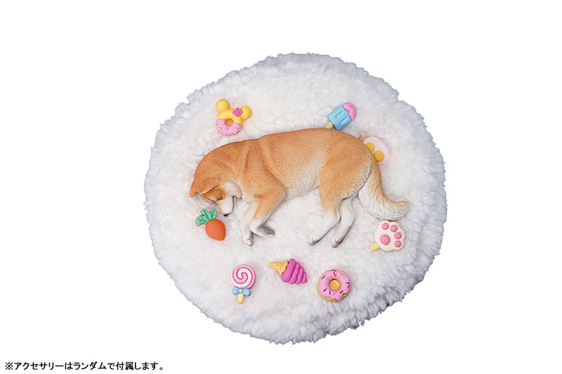 Shibainu+Ryuji+Japanese+Book+KAWAII+Shiba+Dog+Pet+Photo+Japan for sale  online