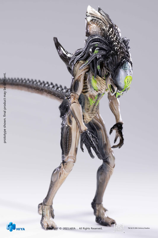 neca predalien