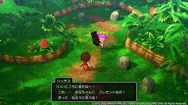 Dragon Quest X: Awakening of the Five Walkers Online - Deluxe Edition -  Solaris Japan