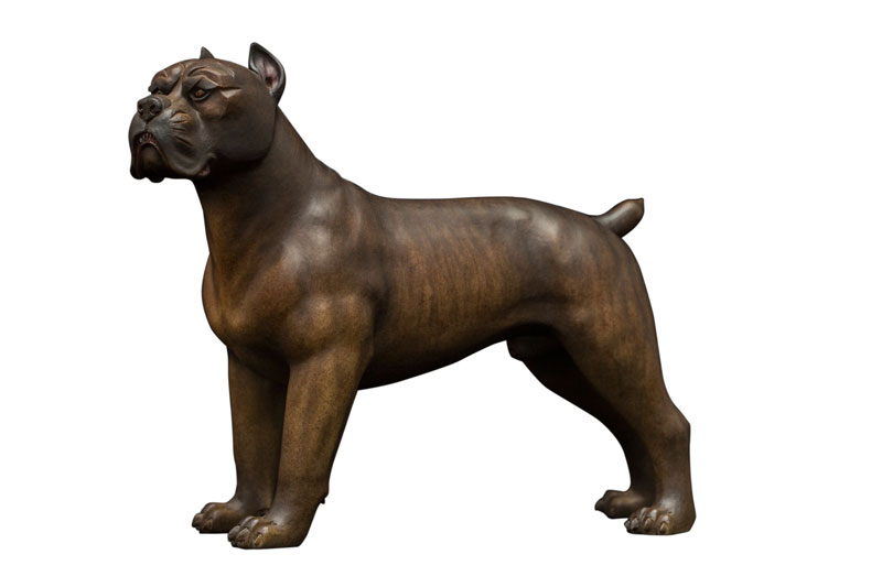 American Bully Dog 2.0 001 (Black) 1/6 Scale Figure