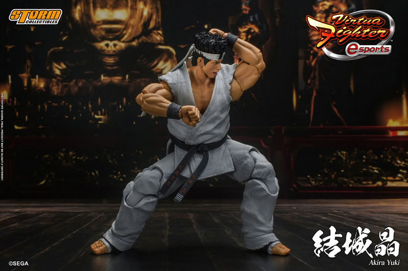 AmiAmi [Character & Hobby Shop] | Virtua Fighter eSports Action