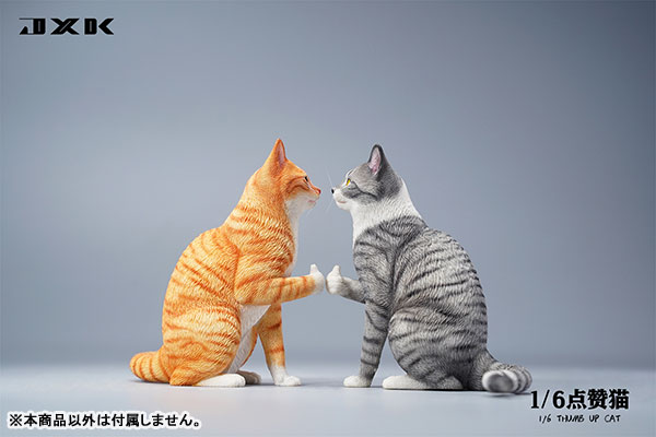 AmiAmi [Character & Hobby Shop] | 1/6 Thumbs Up Cat A(Released)