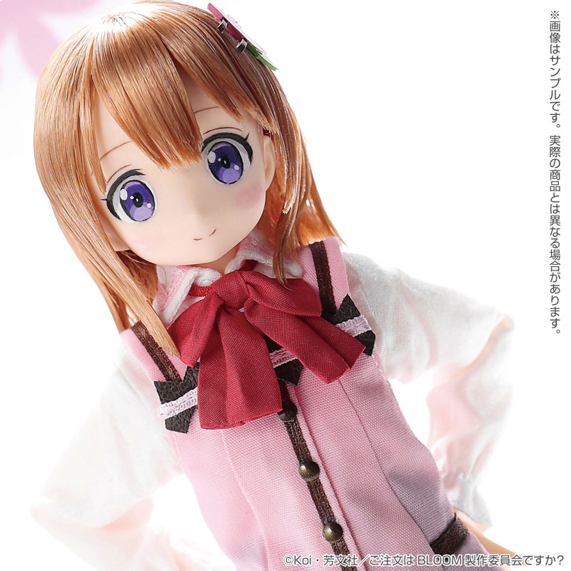 Pure Neemo Character Series - 142 Gochuumon wa Usagi Desu ka? Bloom - -  Solaris Japan