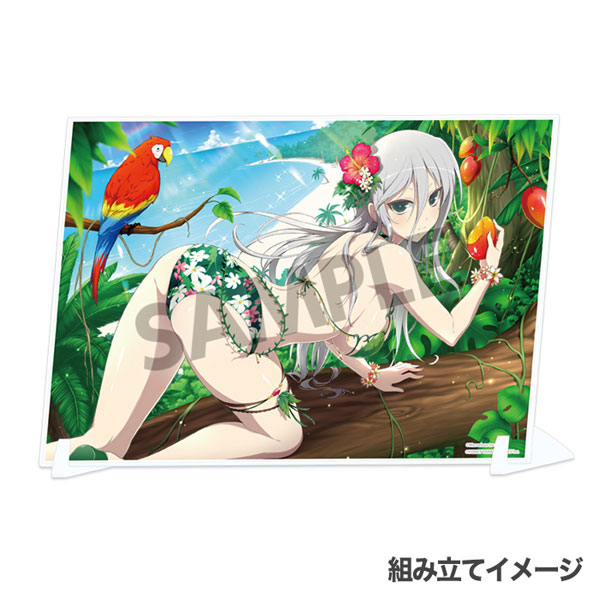 Shinobi Master Senran Kagura: New Link Visual Acrylic Plate