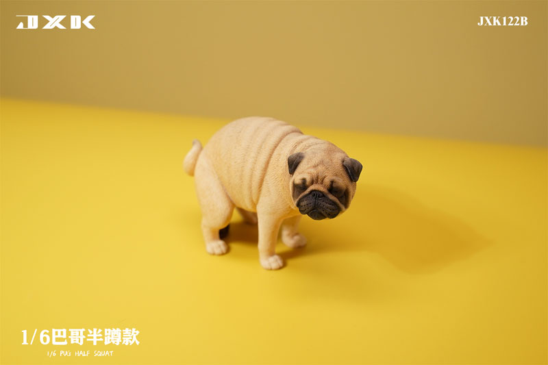 パグ様 AmiAmi [Character & Hobby Shop] | 1/6 Pug Half Squat B(Released)