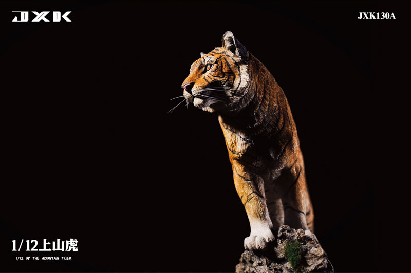 AmiAmi [Character & Hobby Shop] | 1/12 Tiger Standing at the