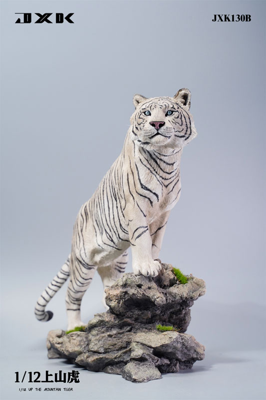 AmiAmi [Character & Hobby Shop] | 1/12 Tiger Standing at the