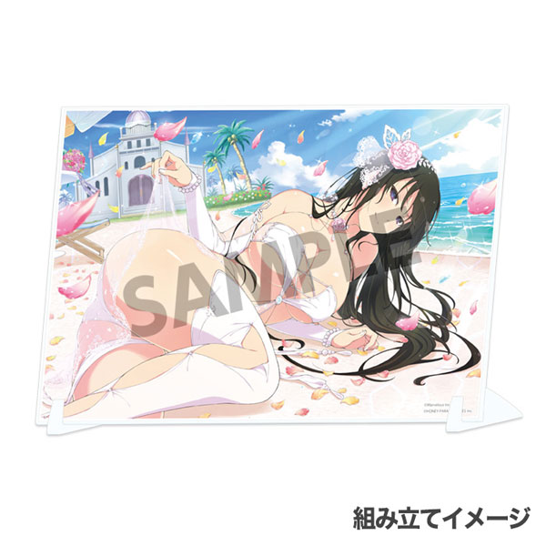 Shinobi Master Senran Kagura: New Link Visual Acrylic Plate