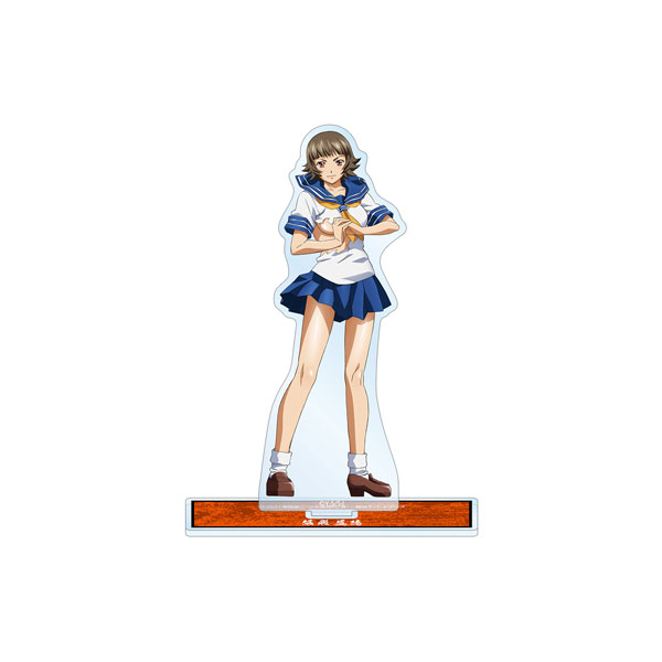 AmiAmi [Character & Hobby Shop]  Shin Ikkitousen Hakufu Sonsaku BIG Tin  Badge(Released)