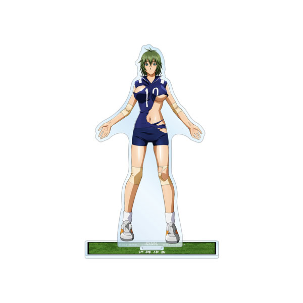 AmiAmi [Character & Hobby Shop] | Shin Ikkitousen Chuukou
