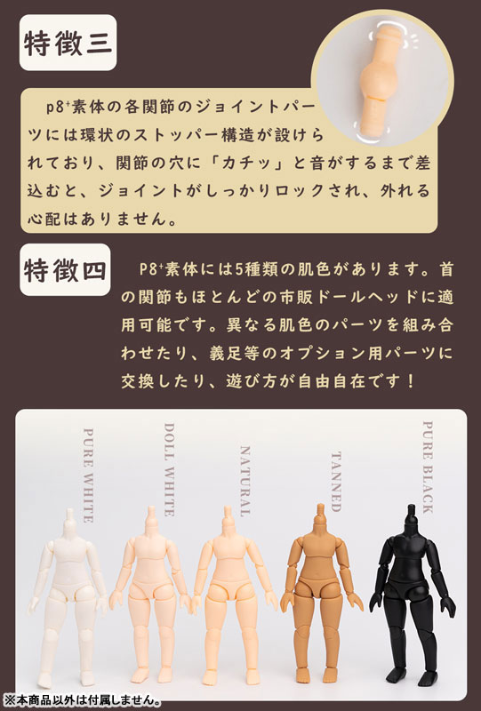 AmiAmi [Character & Hobby Shop] | PICCODO Series BODY8 PLUS 