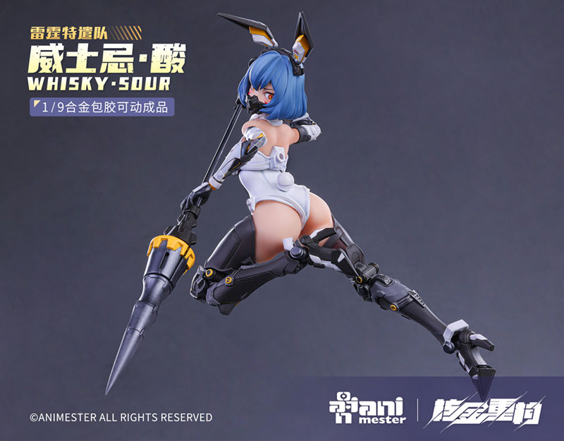 AmiAmi [Character & Hobby Shop] | (Pre-owned ITEM:B/BOX:B 