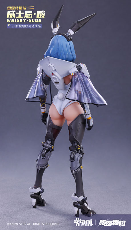 AmiAmi [Character & Hobby Shop] | (Pre-owned ITEM:B/BOX:B 