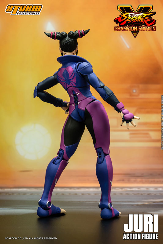 AmiAmi [Character & Hobby Shop] | Street Fighter V Champion