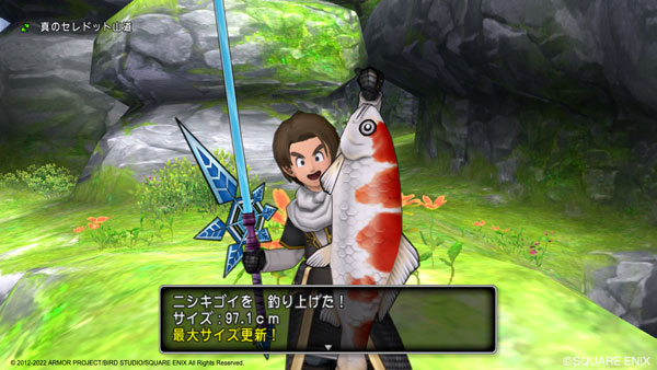 Dragon Quest X Online All In One Package (Version 1 - 6) for