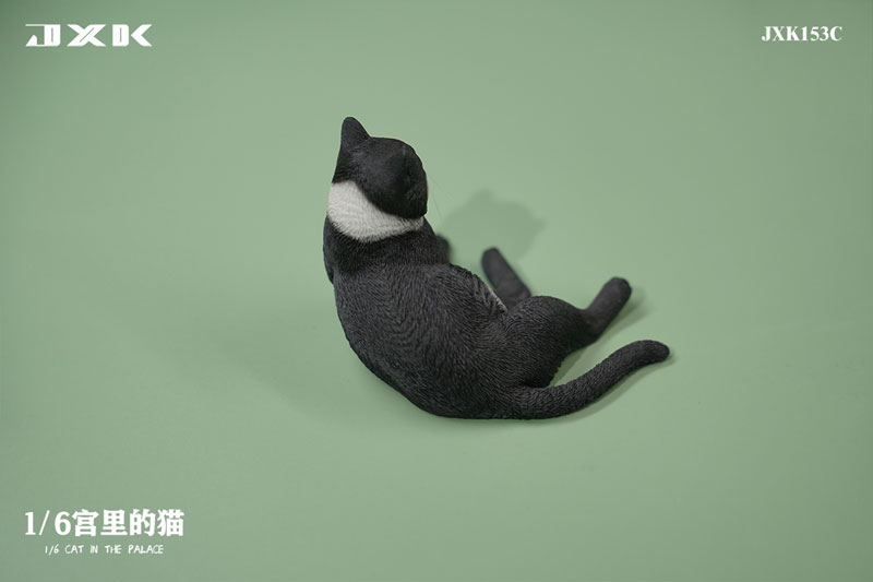 神猫 ほたるぶくろ のせ猫 240731 - YouTube