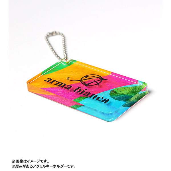 AmiAmi [Character & Hobby Shop] | TV Anime 