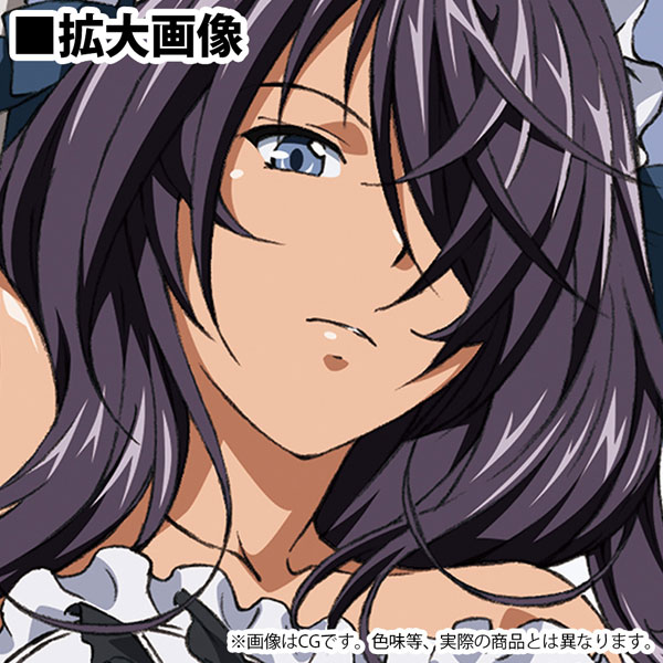 Shin Ikki Tousen key visual and TV anime launch date revealed