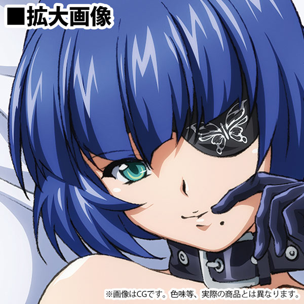 AmiAmi [Character & Hobby Shop]  Shin Ikkitousen New Illustration Shimei  Ryomou Hugging Pillow Cover (2way Tricot)(Released)