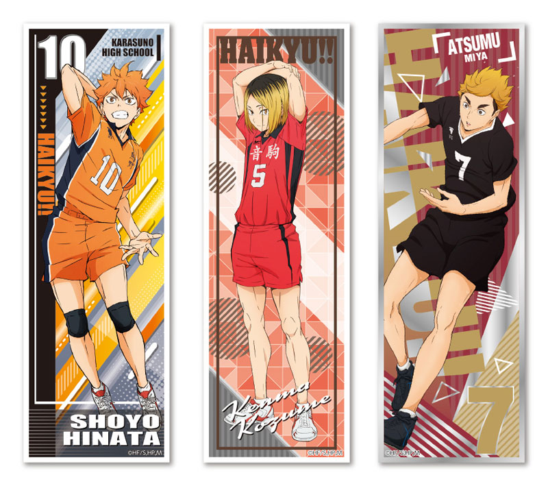 Haikyuu Poster Karasuno High School Volleyball Team Shoyo Anime