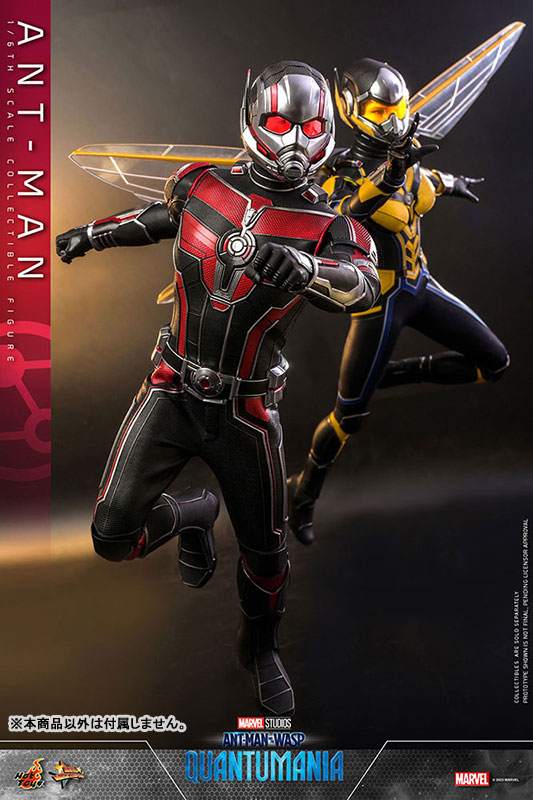 AmiAmi [Character & Hobby Shop] | Movie Masterpiece 
