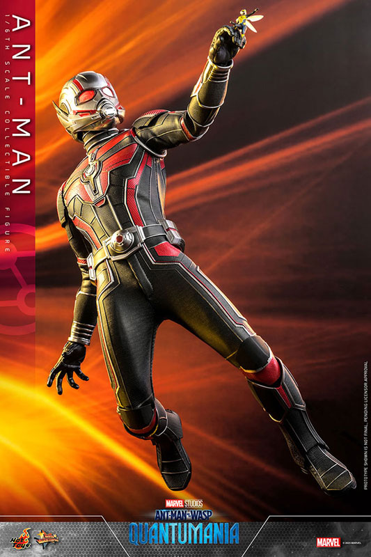 ANT-MAN 1/6スケールコレクティブルフィギュア Amazon.com: Hot Toys 1:6 Ant-Man - Movie Masterpiece Series