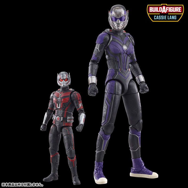 AmiAmi [Character & Hobby Shop]  Marvel Legend 6 Inch Action