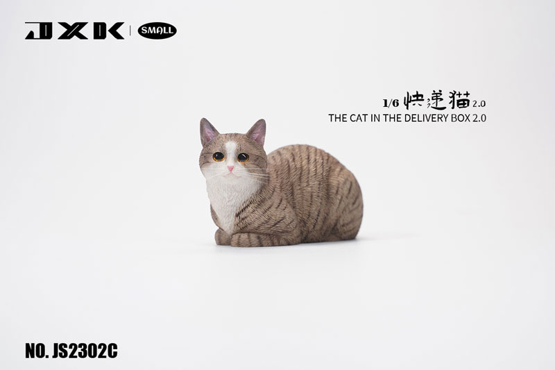 AmiAmi [Character & Hobby Shop] | Small Cat in the Cardboard Box