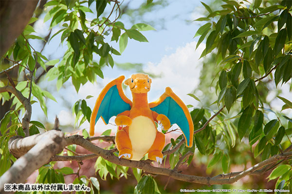 charizard plush tomy