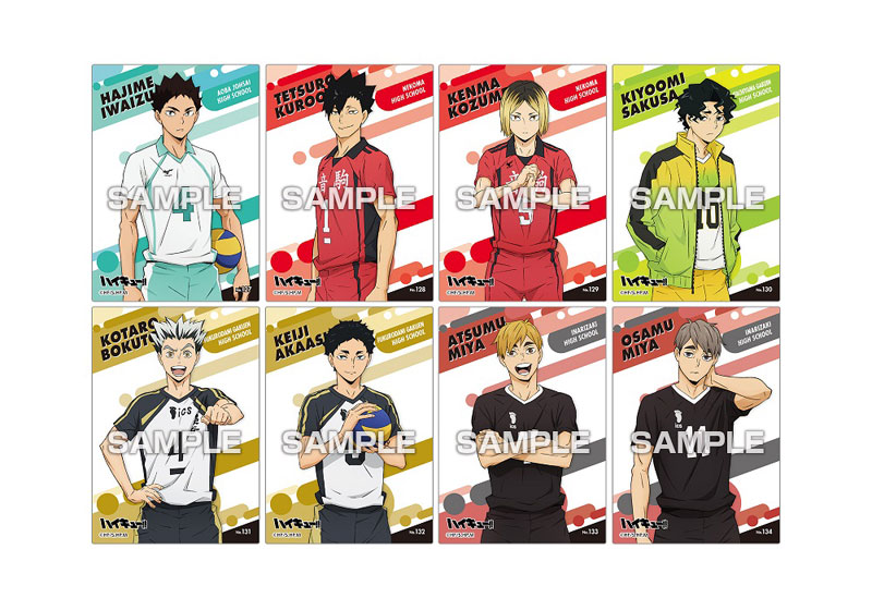 Haikyuu All Team Members Card Skin, Anime Skins