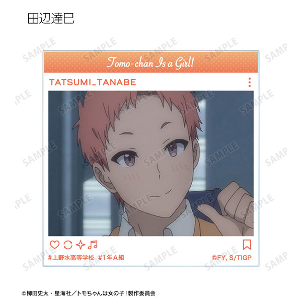 Tomo-chan Is A Girl! Anime Acrylic Stand Model Doll Tomo Aizaw