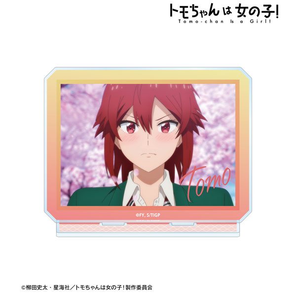 AmiAmi [Character & Hobby Shop]  TV Anime Tomo-chan Is a Girl! Tomo  Aizawa BIG Acrylic Stand(Released)