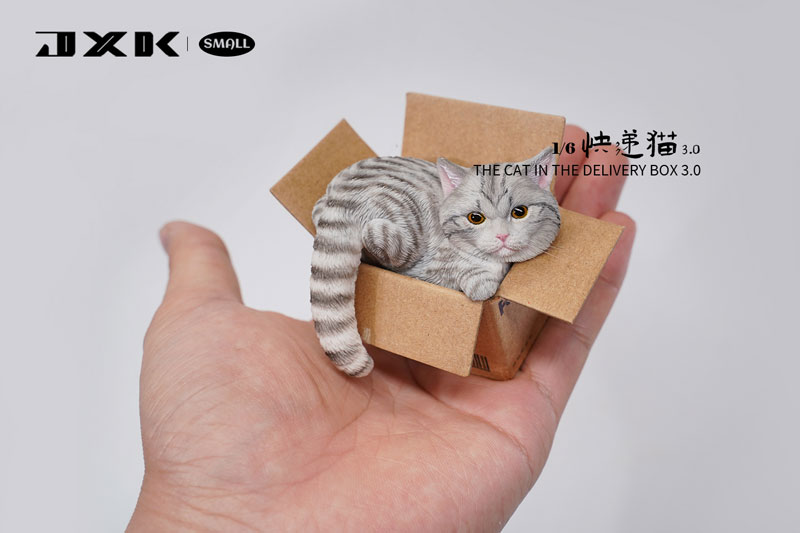 AmiAmi [Character & Hobby Shop] | Small Cat in the Cardboard Box