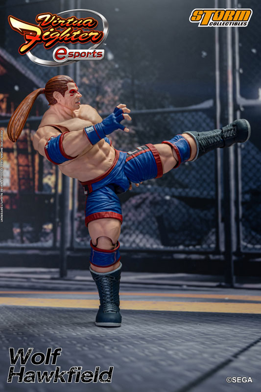 AmiAmi [Character & Hobby Shop] | Virtua Fighter e-Sports