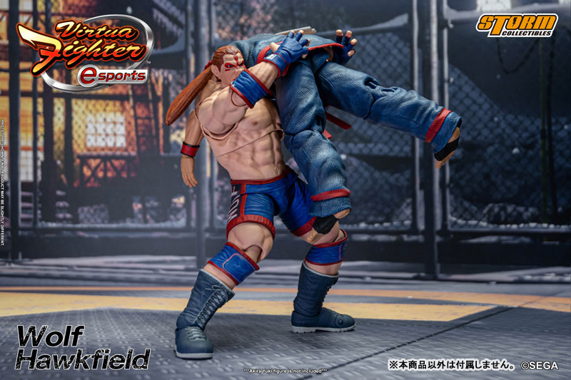AmiAmi [Character & Hobby Shop] | Virtua Fighter e-Sports Action